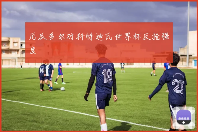 厄瓜多尔对科特迪瓦世界杯反抢强度