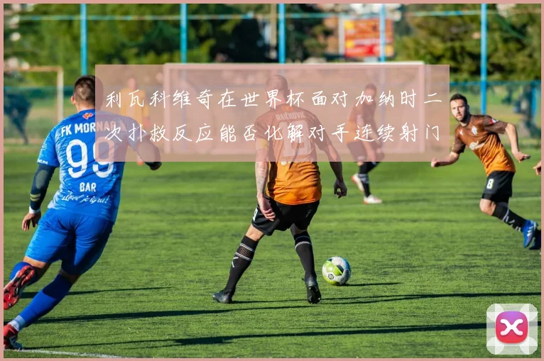 利瓦科维奇在世界杯面对加纳时二次扑救反应能否化解对手连续射门